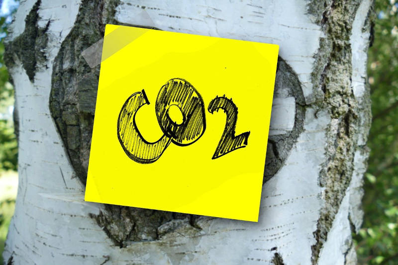 CO2 Baum